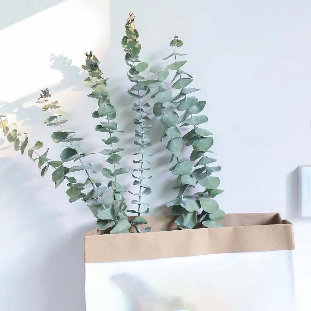 

10PCS/SET Natural Eucalyptus For Leaves Dried Flower Decorations DIY Home Wedding Shooting Party Decor Supplies