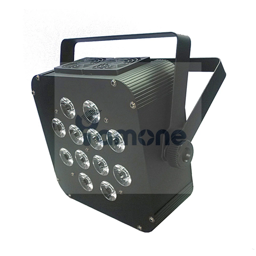 12pcs Flat PAR 01