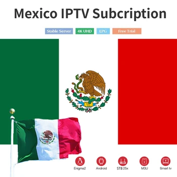 

Mexico IPTV subscription 1 Year iptv m3u for italia sweden portugal spain brasil europe poland USA support smart iptv android