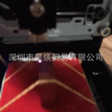 3299472566_318292852
