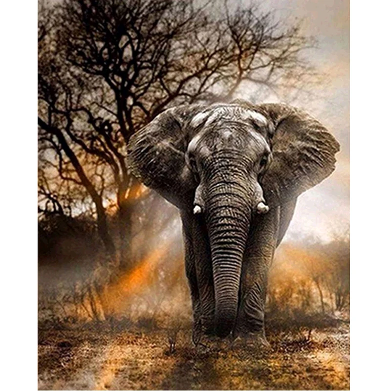 

Full Square/Round Drill 5D DIY Diamond Painting Sunset Elephant Embroidery Cross Stitch 5D Rhinestone Embroidery Home Decor Gift