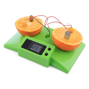 

2019 New Learning Education Science Toy Fruit Powered Children Experiment Science Educational Toy