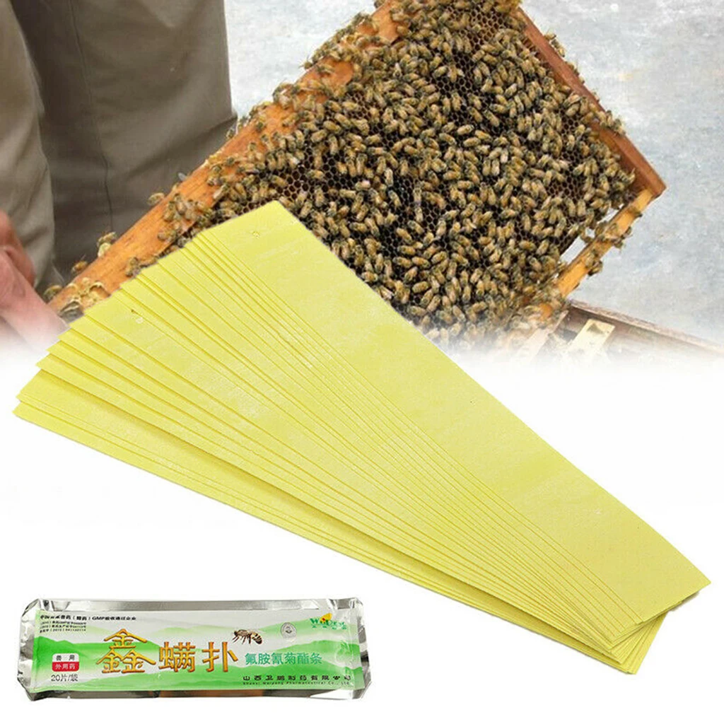 20 Strips Fluvalinate Varroa Mite Killer Beekeeping Medicine Tool for Beekeeping