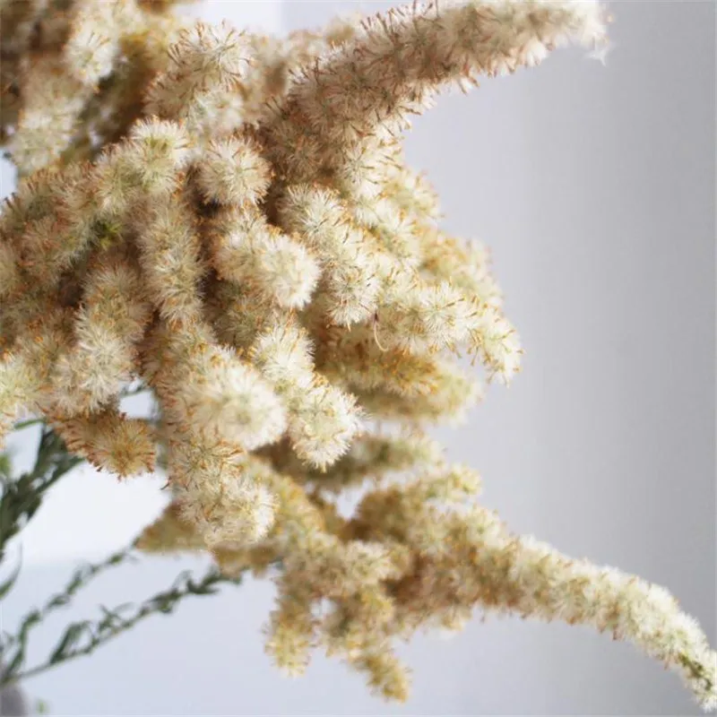 3 шт. сушеные растения Solidago altissima в форме елки, декоративные растения, сушеные цветы, настоящие натуральные Рождественские цветы