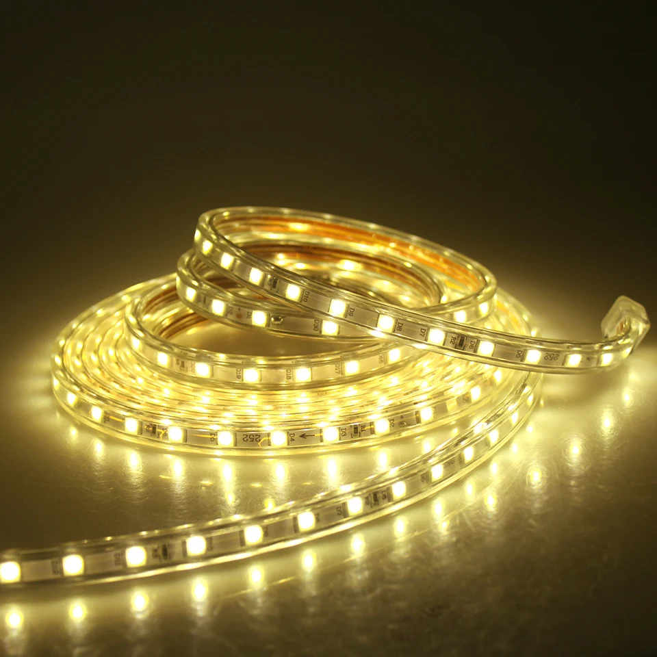 Водонепроницаемая светодиодная лента 5050 SMD IP67 220 В 60 светодиодов/м красный синий