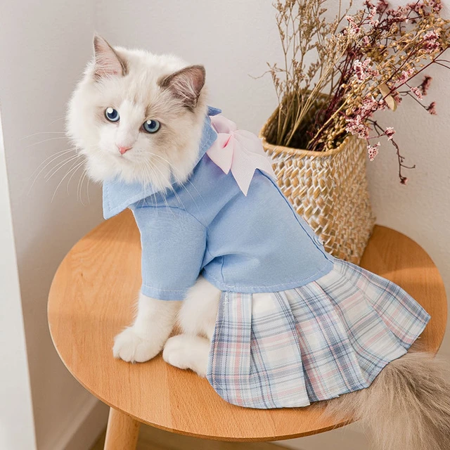 College Style Cute Cat Clothes Girl Small Dog Skirt Pet Clothing Winter Cat  Dress Puppy Clothing Cat Dresses Princess Dress - AliExpress