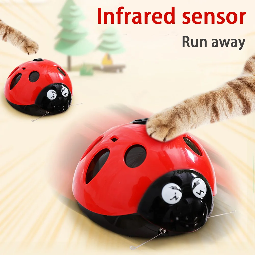 

Infrared sensor cat toy Crab Ladybug Scorpion Take Photos Making Toys Go to Sleep Guide Chilrden To Crawl AAAPower Toys For Cats