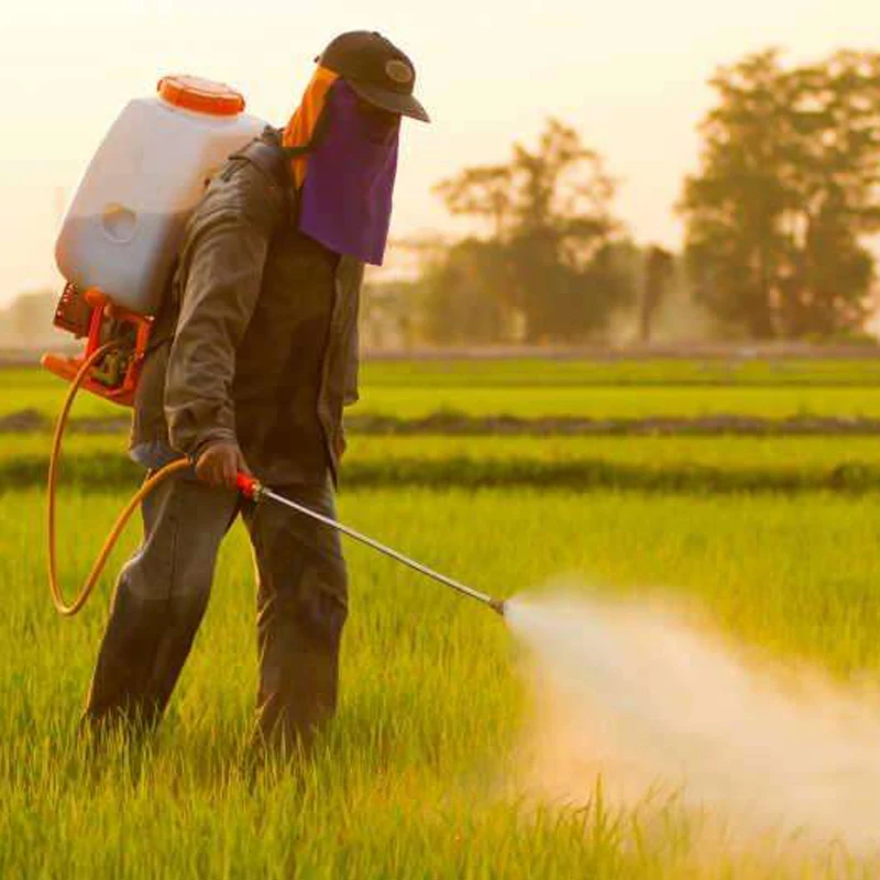 3Bag-Flower-fertilizer-general-compound-fertilizer-fleshy-fertilizer-vegetable-organic-fertilizer-fruit-tree-compound-fertilize.jpg 3 -Táskás Virág Műtrágya Általános Összetett Húsos Zöldség Szerves Gyümölcsfa Vegyület Megtermékenyítés - Image 6