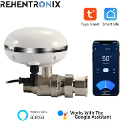 Vanne d'eau électrique intelligente Tuya, commutateur WiFi intelligent, eau bouillante, arrosage domotique, avec Alexa Google 