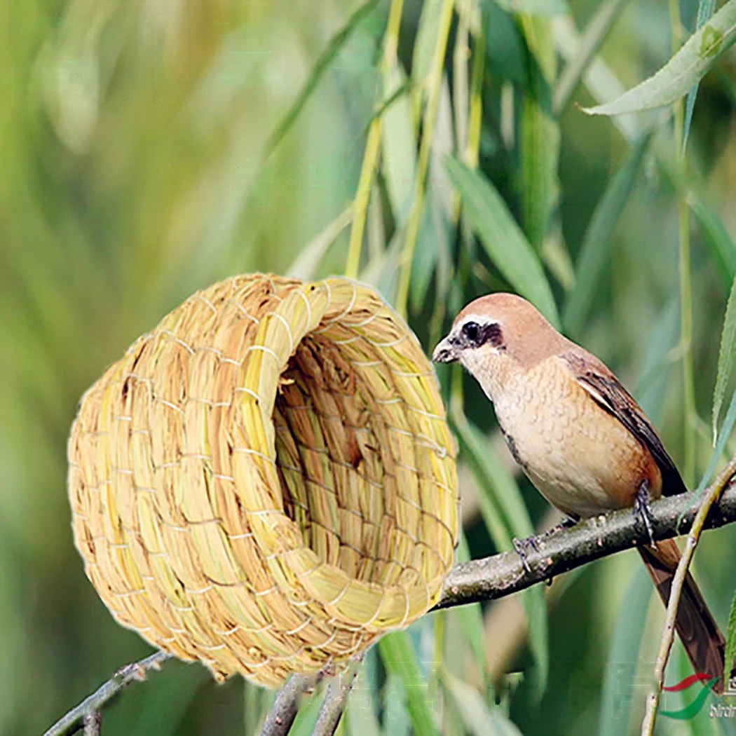 Parrot Straw Nest Gourd Windproof Grass Hut Handmade Bird for Cockatoo Pet Products Accessories | Дом и сад