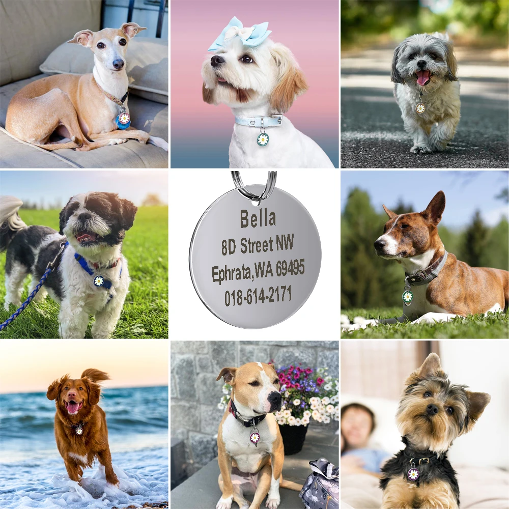 Custom Pet Dog Cat ID Tag Personalized Round Tags Engraved Stainless Steel Collar Nameplate Tag For Dogs Cats Pet Accessories