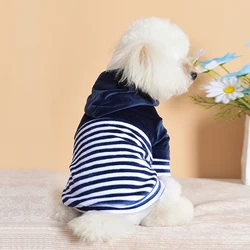 Sweat Shirt à capuche en coton pur pour chien, vêtement pour animaux de compagnie, sweat Shirt confortable à rayures, couture, Chihuahua, chiot, Teddy, Costume, automne 