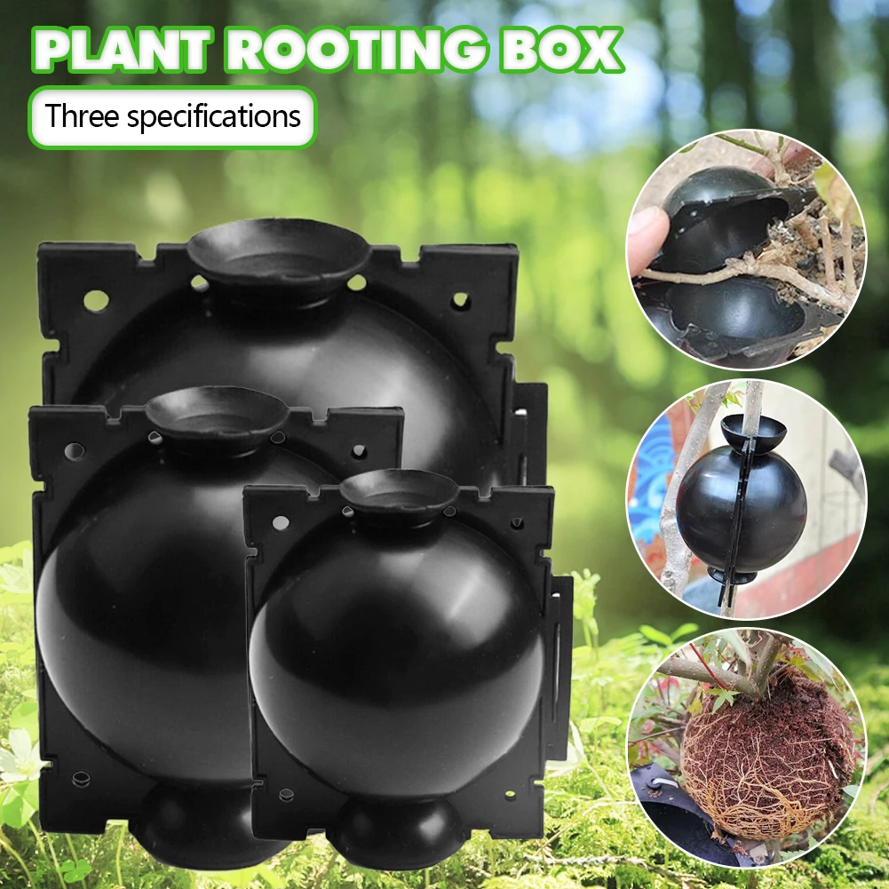 5PCS Plant Rooting Box Air Layering Device Plant High Pressure Grafting Growing Breeding Ball Garden Tree Seedling Propagation