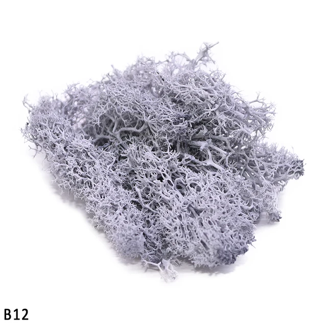 Image 18