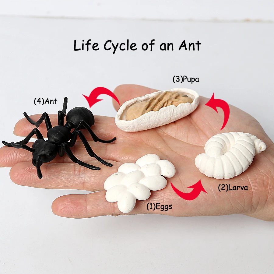 200 Pieces of Plastic Ants Simulation Model Figures Educational Toys  Black 