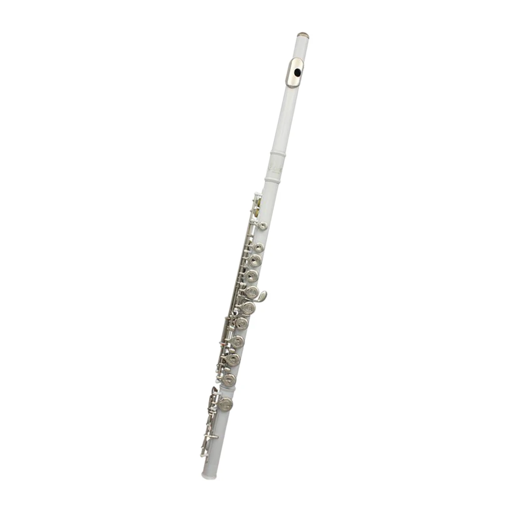 LADE 16 Closed Hole C Key Flute with Cleaning Cloth Stick Screwdriver Padded Box for Beginner Students Gift
