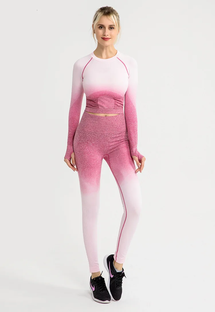 Shark Women Ombre Cropped Seamless Long Sleeve Top Crop Top Women Workout Shirts for Women Sports Tops Women Gym