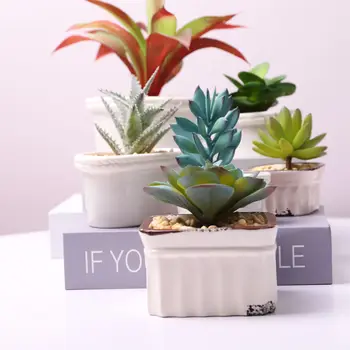 

Succulent Flowerpot Creative Potted Plant Matte White Circle Ceramic Small Flower Pot Square Elliptical Circle Flowerpot Ceramic