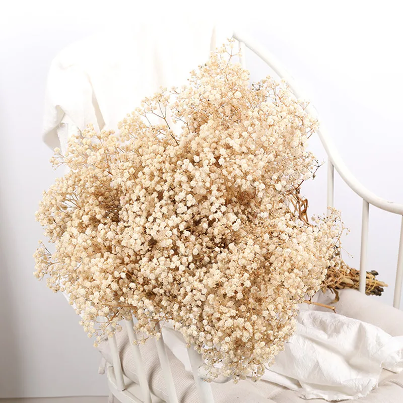 Mini Dried Flowers Bouquets Natural Gypsophila - 10pcs Mini Flower Bouquet  Natural - Aliexpress