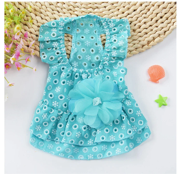 11689905258_1368698927