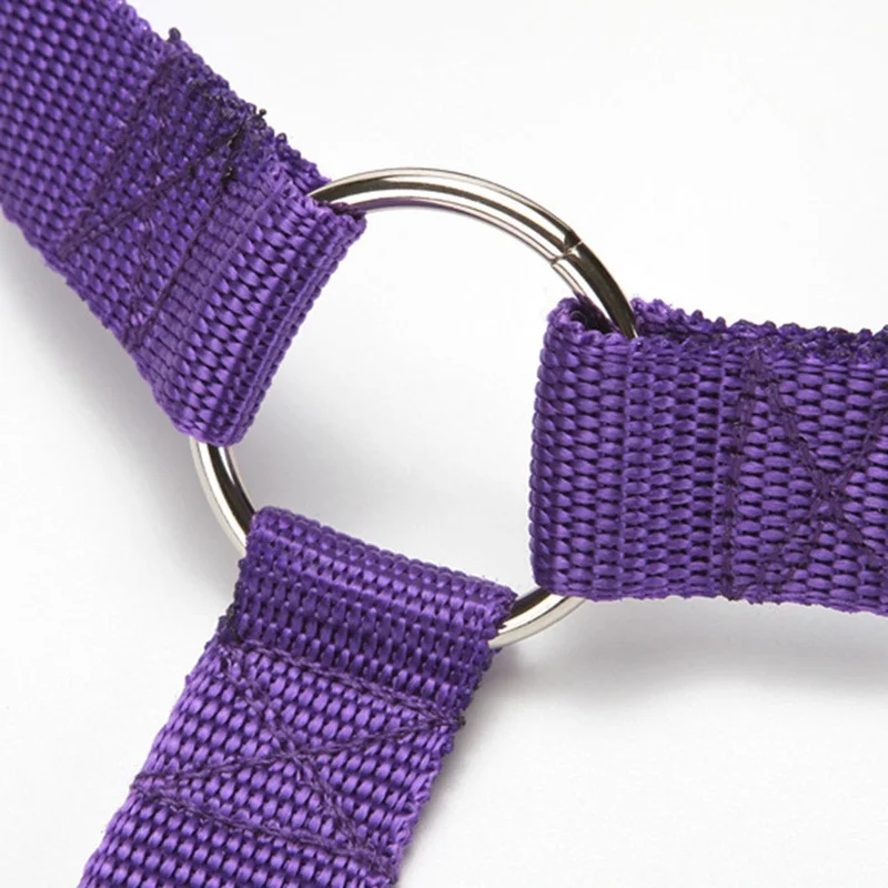 Practical Dog Cat Pet Safety Adjustable Car Seat Belt Harness Leash Travel Clip Strap Lead