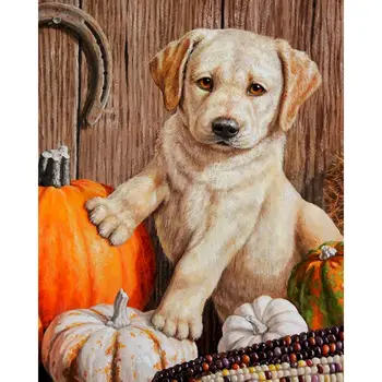 

Halloween oil painting DIY Cute dog Coloring Paint By number Tools picture Painting By Numbers Surprise Gift for Children