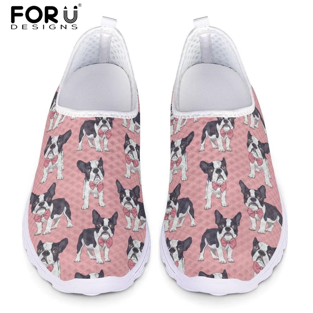 boston terrier flats