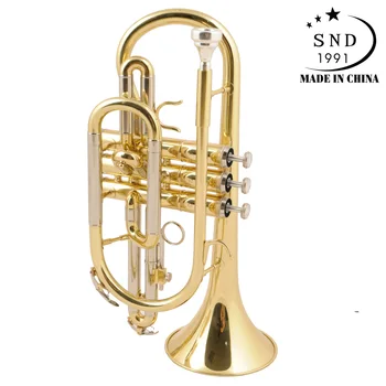 

Professional Bb Cornet Brass Instrument with Carrying Case Gloves Cleaning Cloth Brushes boquilla piccolo
