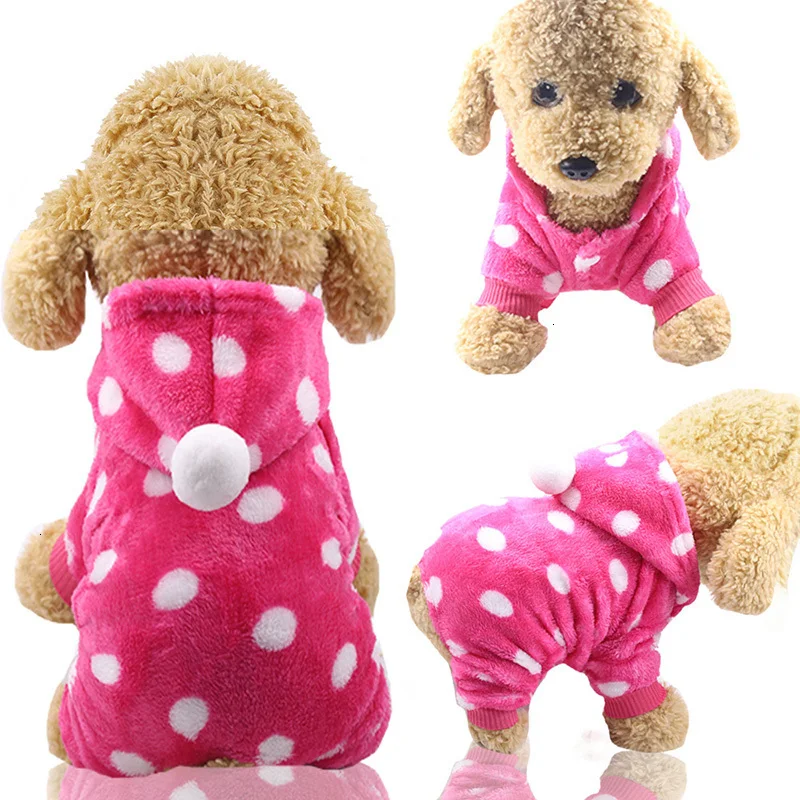 dog coat