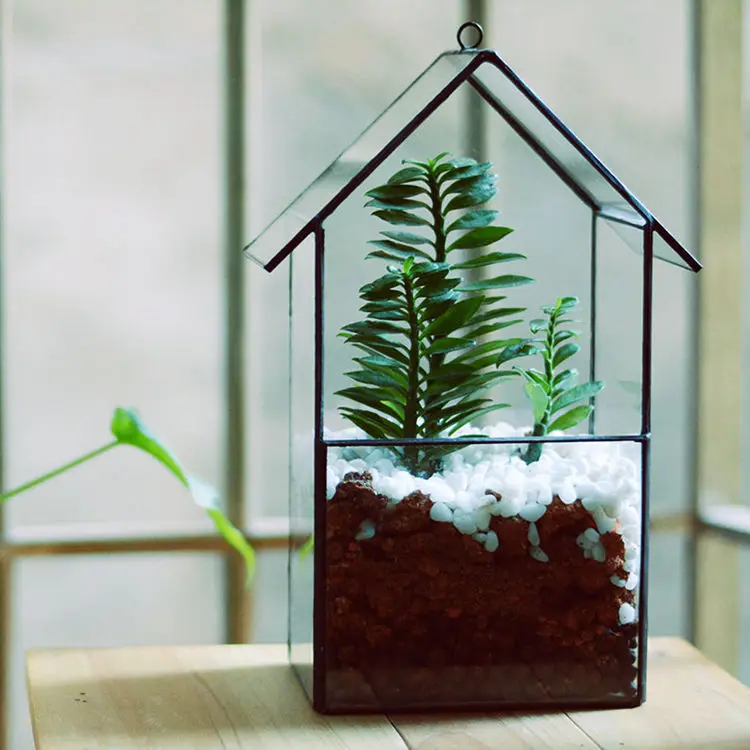 

House Shape Glass Greenhouse Succulents Flowerpot Container Profession Environment-Friendly Lead-Free