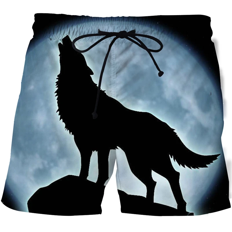    ݹ, 3D Ʈ ݹ, غ ݹ, ĳ־  ,  м