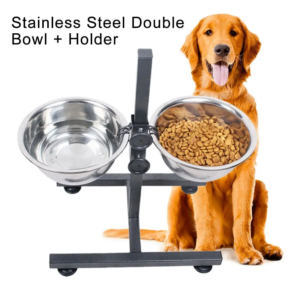 What Height Should My Dogs Bowl Be