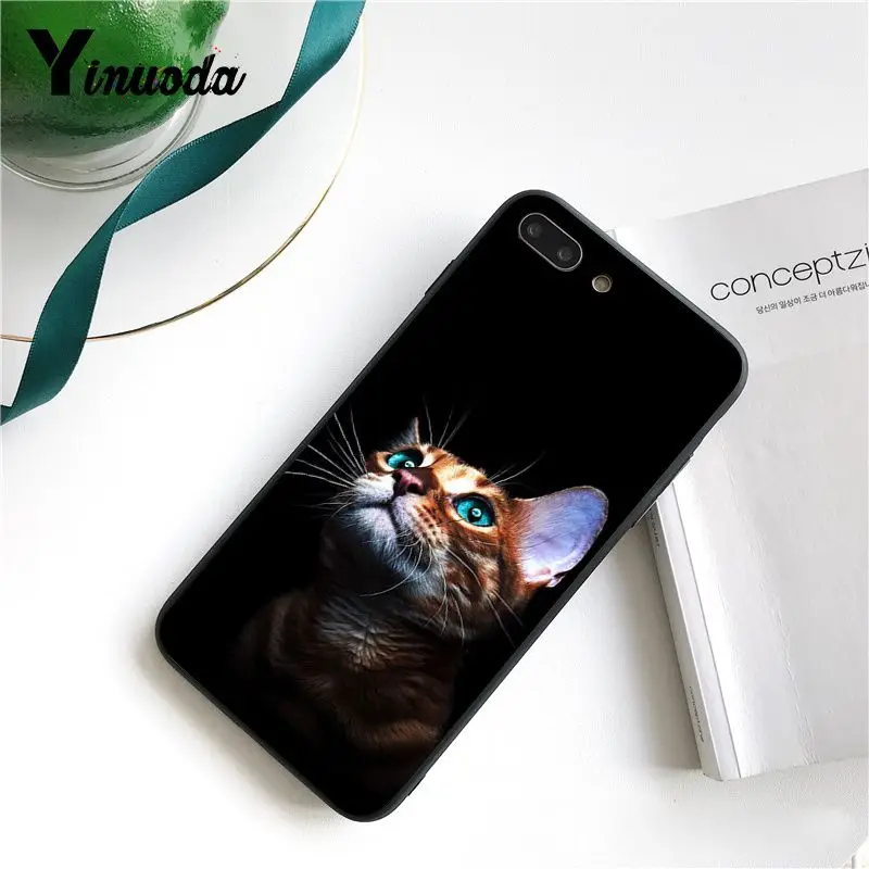Cute Black Cat Staring Eyes