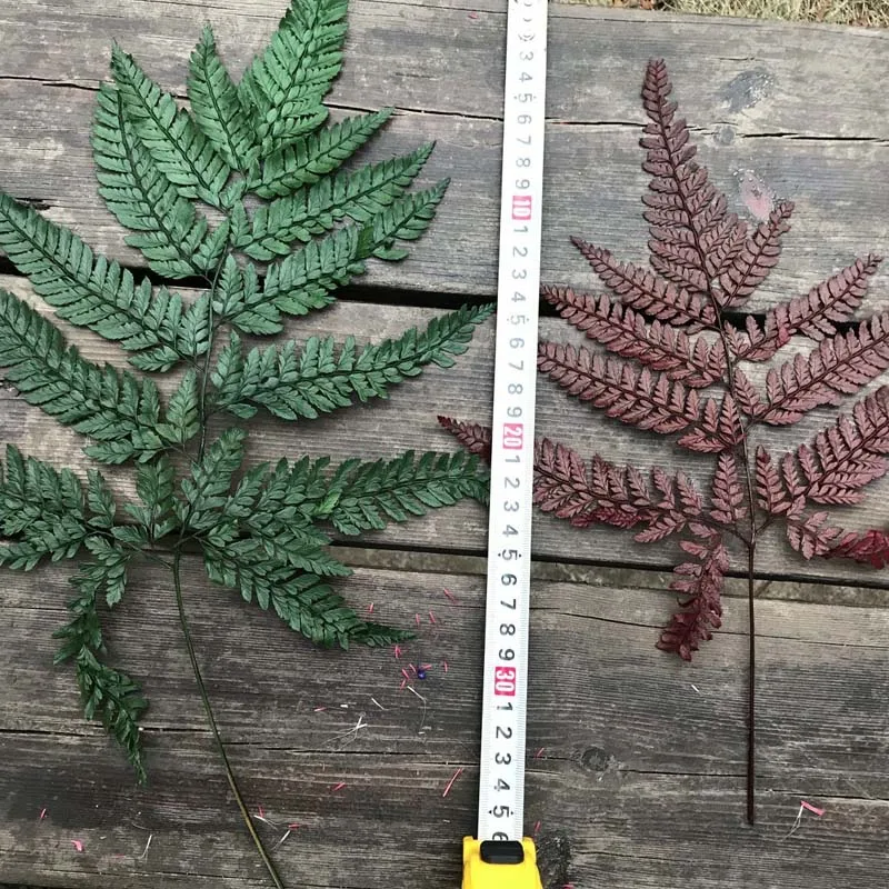 QQ图片20200210203251