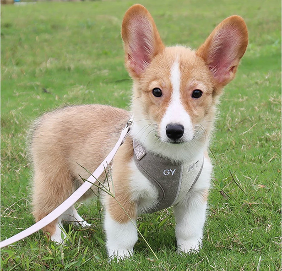 Hc94934f62c144c42a8d6ce322668a3f6L