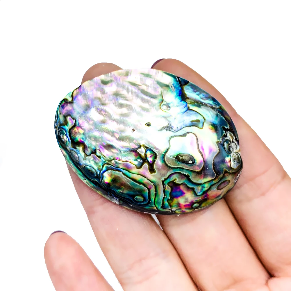 Natural Abalone Shell Pendants Charms Single Side Mother of Pearl Shells DIY Gifts Jewelry Making Accessories 2PCS