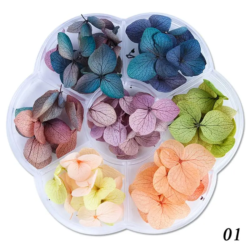 Сушеные цветы DIY эпоксидная смола ручной работы материалы для наполнения - Цвет: 1