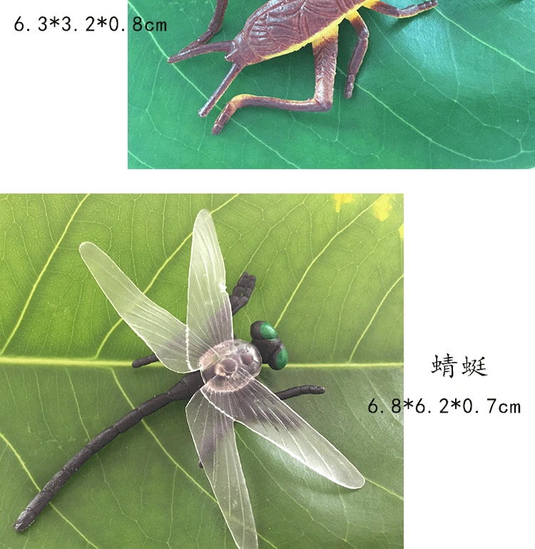 Модель насекомое животное модель детский сад Раннее детство маленький набор в виде насекомых паук божья коровка стрекоза Цикада