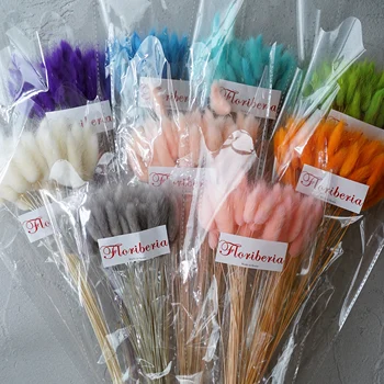 

Dried flowers Rabbit Grass Setaria Viridis Dry Flower Decoration Piece DIY Material dried flowers Pink purple colorful