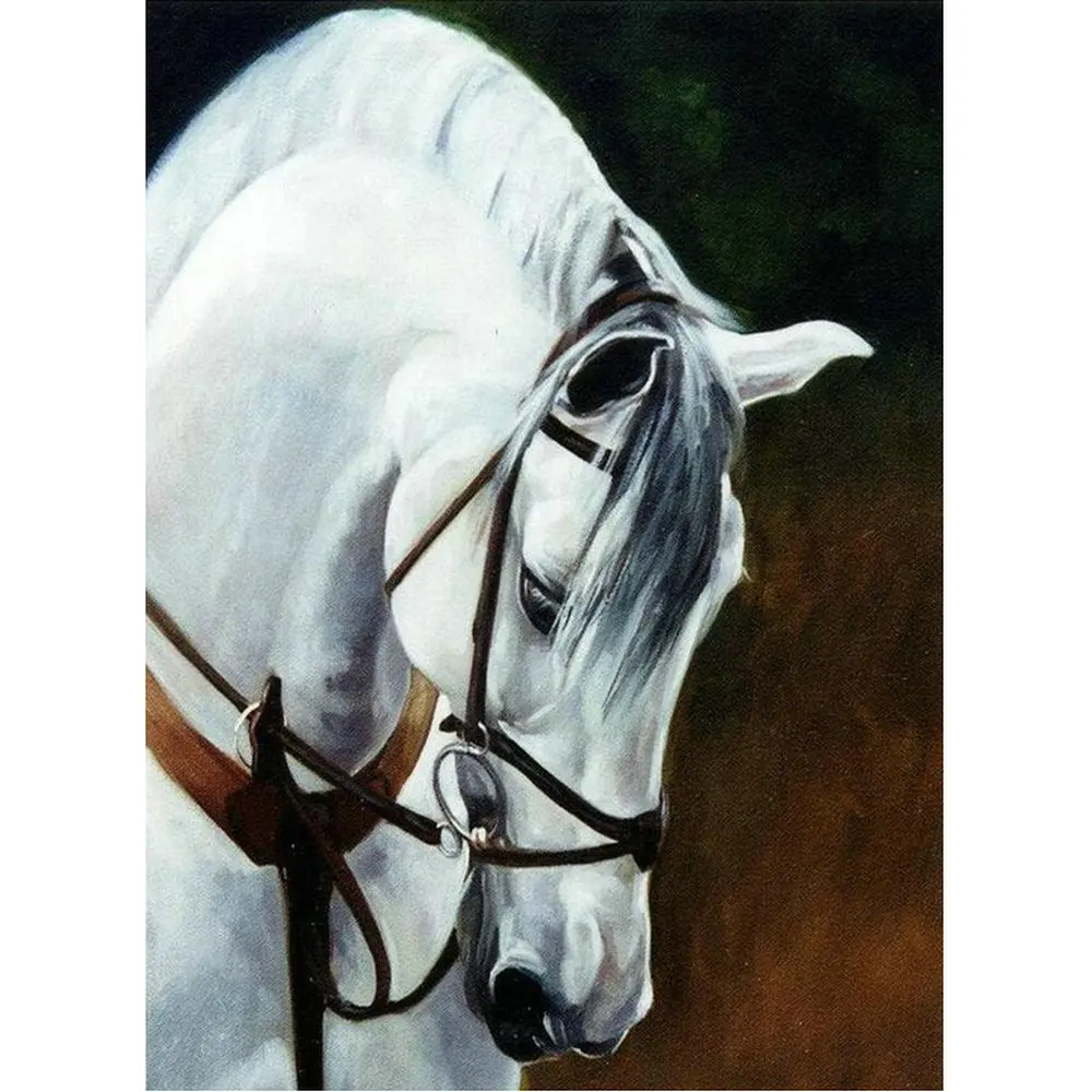 5d-square-round-Diamond-Painting-white-horse-Full-Diamond-Embroidery-animal-Pattern-Rhinestones-Decor-Needlework-Mosaic_