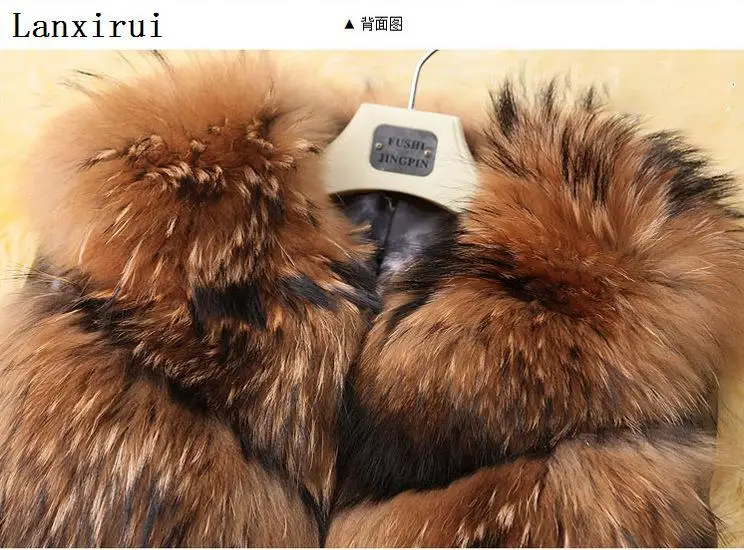 2577782787_741245287