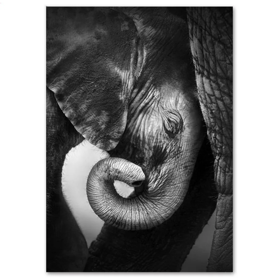 

5D Diy Diamond Painting Elephant Black White Animal Patterns Bead Embroidery Diamond Square Round Diamond Mosaic Handmake Rp632