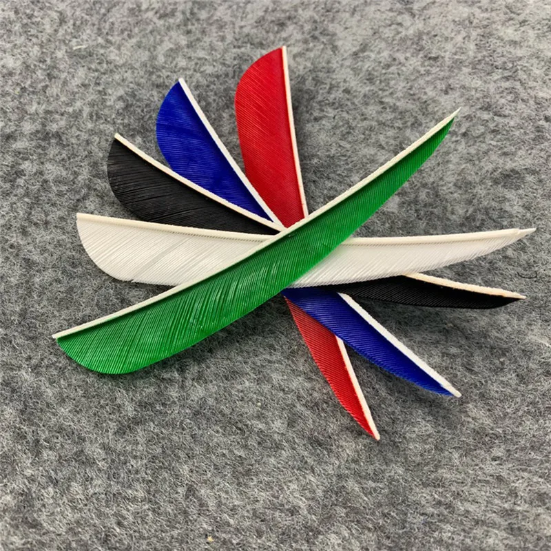 303557_no-logo_303557-3-07-g