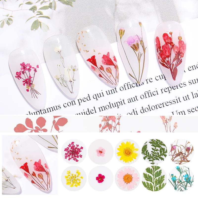 

1 Bag Dried Flowers Colorful Mixed Color Yellow Dry Hydrangea Flowers 3D Nail Art Decoration for Nail DIY Design Tools
