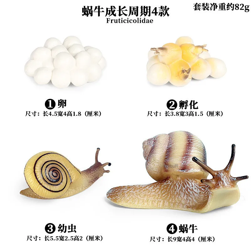 Simulation Animal Insect PVC ladybug Bee spider Model Action Figure Collection Miniature Cognition Educational Toys for Children