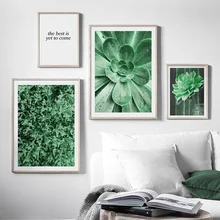 Природа зеленые листья суккулентные растения стены искусства холст живопись плакаты на скандинавскую тему и принты настенные картины для декора гостиной