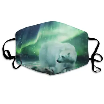 

Premium Dust Mask - Washable Breathable Mouth Face Mask - Adjustable Ear Loop - Pollen Masks for Kids Women Men Northern Lights