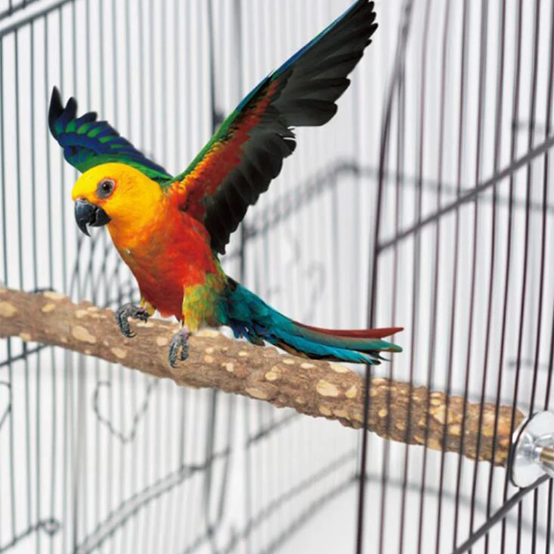 Parrots Toy And Bird Accessories For Pet Swing Stand Birds Ladders Climbing Standing Stick Cage | Дом и сад