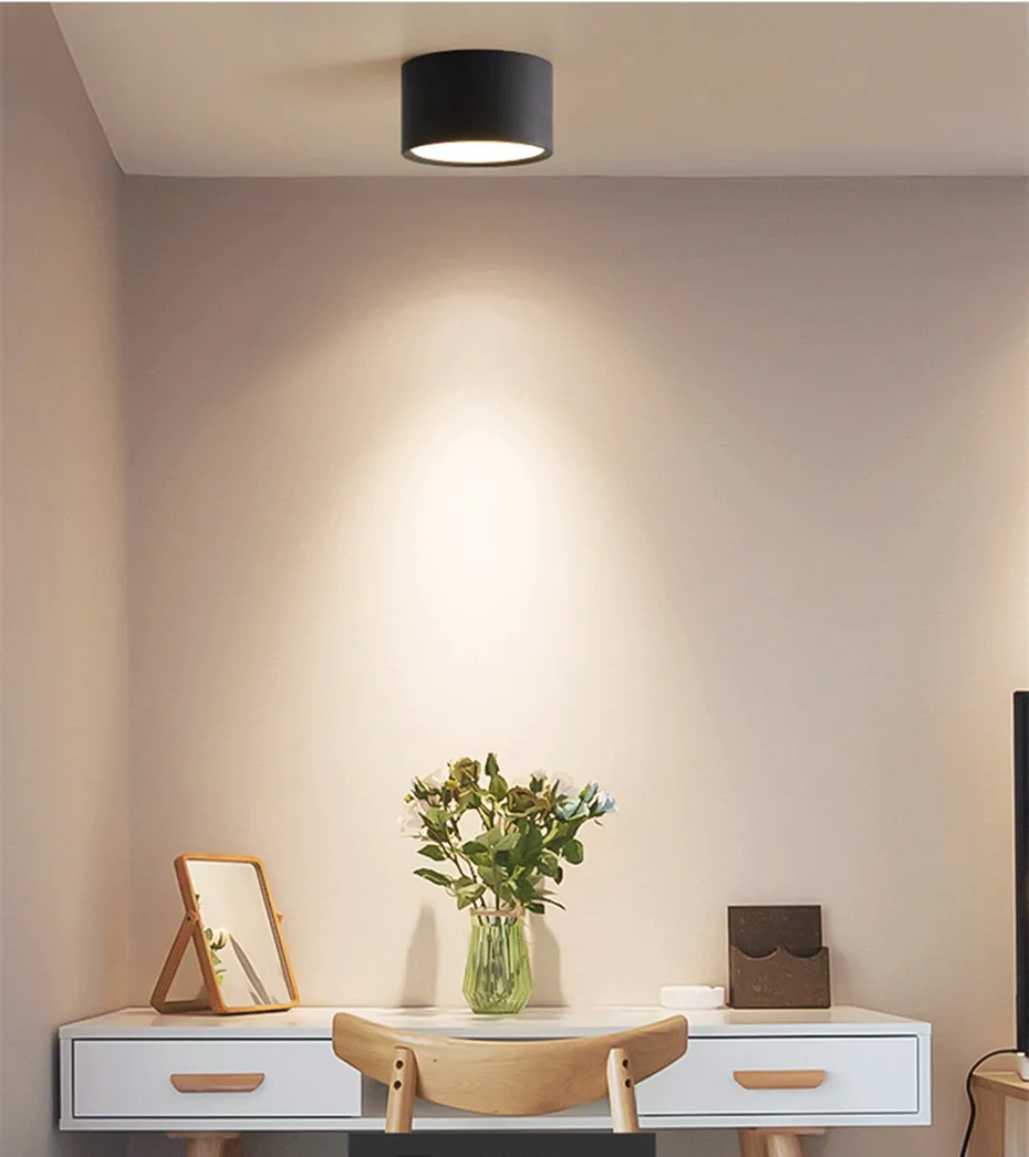 downlight  (1)_副本