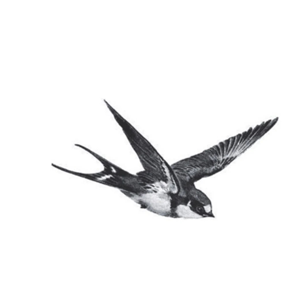 Fly swallots Birds Design Body Art Tattoo Girl для мужчин и женщин на руку ногу запястье временная